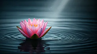 Embrace the Storm: How Challenges Forge Strength According to the Bhagavad Gita