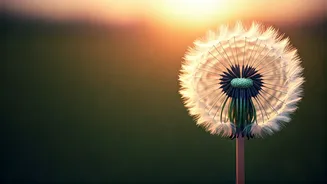 5 Inspiring Quotes to Cultivate Unshakeable Confidence in Children