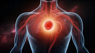 The Hidden Danger: Blood Clots and the Challenges of Space Travel for Astronauts