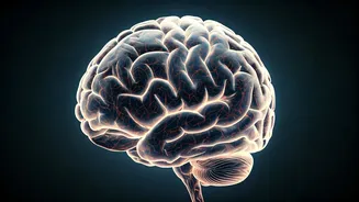 Boost Your Brain: 6 Daily Mental Exercises