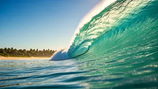 Young Indian Groups Choose Sri Lanka Surf Camps This Summer