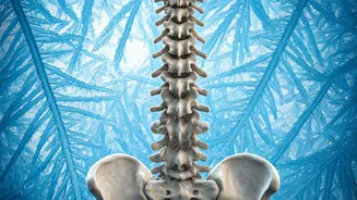 Winter Woes: Why Your Body Aches This Season