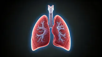 Breathe Easy: Quick Ways to Lower Stress