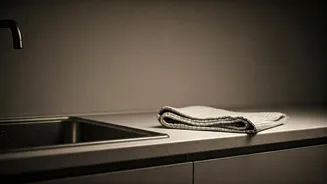 Service Sector Exodus: How Voting Fears Leave Kolkata Households Stranded