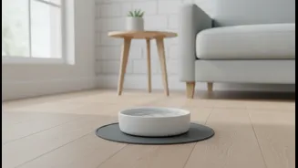 Keep Water Accessible Without Placing Bowls In Constant Collision Zones