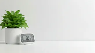 Your Home Can Smell Fresh Even In Humid Weather