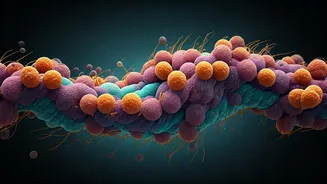 Gut Health Is Moving Beyond Probiotic Bottles