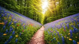 Blossoming Trails: 7 World-Renowned Hikes for Flower Lovers