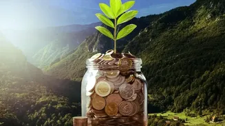 India as a Growth Market for Global Companies: The Story Behind Double-Digit and High-Single-Digit Gains