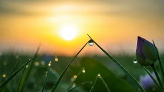 5 AM Affirmations: Cultivate Calm and Focus for Your Day