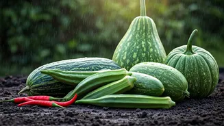 These Rain-Loving Vegetables Are Finally In Season