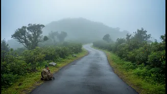 Kerala, UP, Uttarakhand Trips Need Flexibility