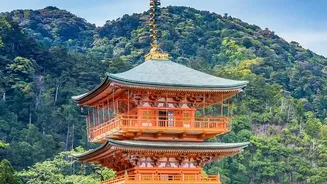 IRCTC Japan Tour: What Indian Travellers Should Know Before Booking The 9-Day Trip
