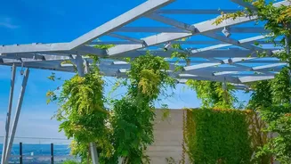 How Modular Rain-Proofing Barriers Save Balcony Gardens From Severe Monsoon Overwatering