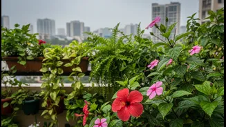 Monsoon-Friendly Plants Add Life To Urban Spaces