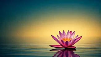 Related Stories banner