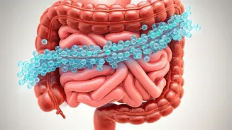 Synbiotic Synergy: The Ultimate Inflammation Fighter