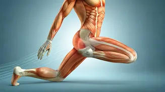 Unlock Your Mobility: Top 6 Stretches Tailored for Men