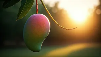 Rent a Mango Tree This Summer: Get 90kg of Fresh Mangoes Delivered!