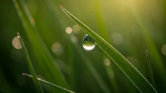 Sadhguru's 7 Insights to Unravel Stress and Transform Your Life's Perspective