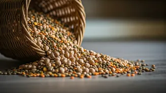 Indian Kitchens Already Know Fibre Better