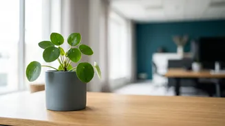 Tax-Saving Mutual Funds Decoded: Smart Equity Investments That Reduce Tax While Building Wealth