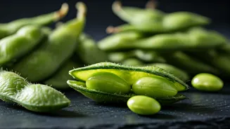 Edamame Snacks Are Perfect For Busy Evenings