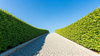 Unlocking Your Potential: A Guide to Success