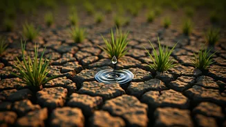 Thirsty Troubles: Unpacking Mumbai's Escalating Water Crisis in Khar Danda Koliwada