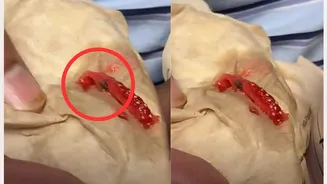 WATCH | Dead Fly In Rs 500 Starbucks Strawberry Drink Sparks Backlash, Company Apologises