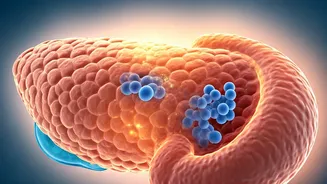 Insulin Resistance & High Blood Sugar: The Intertwined Journey to Type 2 Diabetes