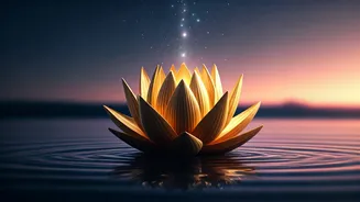 Related Stories banner