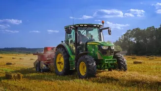 The August Sowing Window Highlights the Limits of a Generic Seasonal List