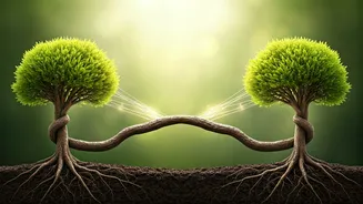 Navigating the Labyrinth of Love: Building Stronger, Healthier Relationships