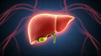 Can Exercise Improve Fatty Liver Disease?