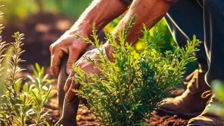 Planting In November: How To Prevent Common Fungal Infections In Cool Balcony Soil