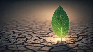 Escaping the 'Always-On' Trap: Expert Tips to Spot and Beat Burnout