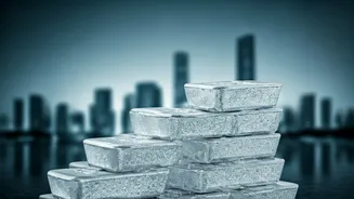 Indian Investment Landscape: Future Outlook & Key Sectors