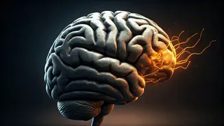 Related Stories banner