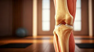 Joint Mobility Rules Feeds Under New Yoga Day Theme