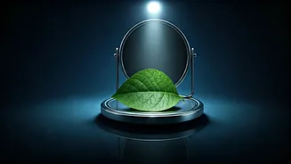 Related Stories banner