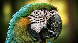 Parrot's Mimicry: The Science Behind Their Speech and the Mystery of Meaning
