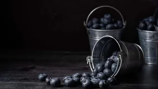 Want healthy eyes? Eat these 5 foods
