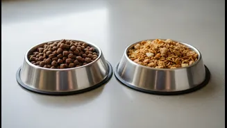 Owners Should Avoid Frequent Food Switching Without A Clear Need