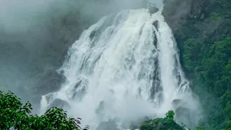 Discover Bhandardara Scenic Waterfalls And Foggy Hills On Offbeat Trips From Pune