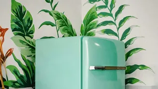 Planning A Shared-Fridge Agreement Should Balance Shelf Rules And Date Labels