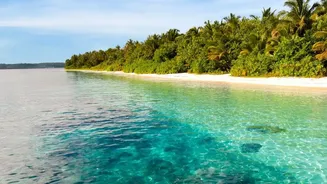 How Eco-Friendly Travel Practices Help Preserve Lakshadweep Pristine Atolls And Coral Ecosystems Today