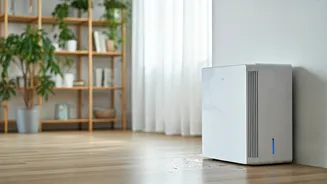 Keep Flats Drier Without Full Decor Drama