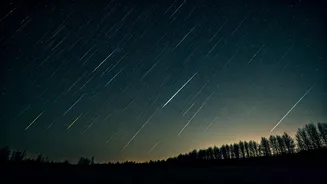 See the Orionid Meteor Shower Now!