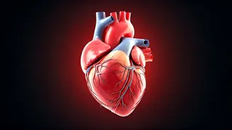 Psoriasis & Your Heart: A Holistic Health Guide